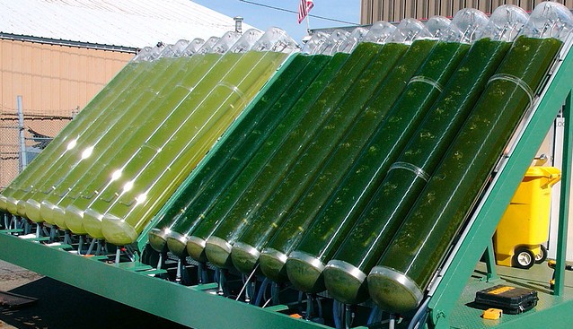 SeaH4 to Showcase its Algae Biofuel at Green Energy Africa Summit 2022