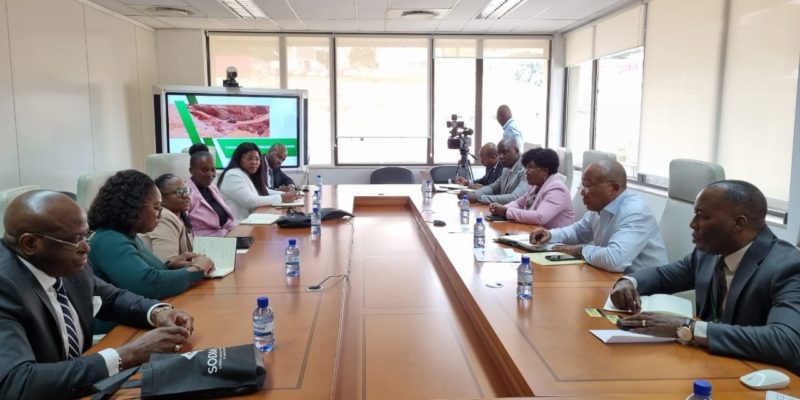 MME Namibian delegation visits ENDIAMA