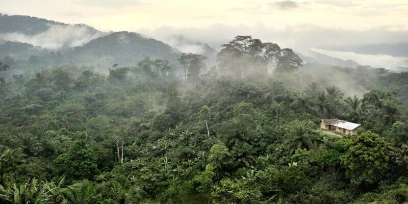 DR Congo signs carbon credit deal covering Congo basin