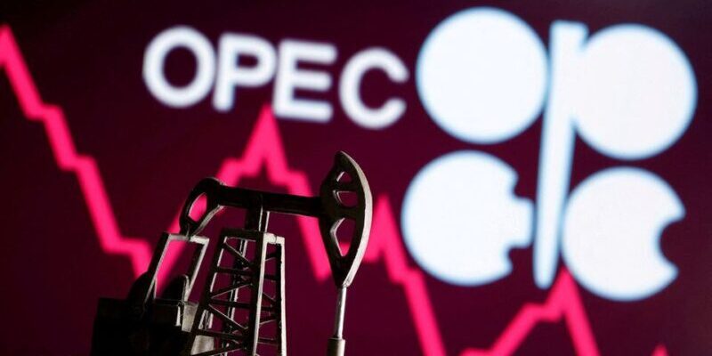 OPEC excited about partnership with Namibia
