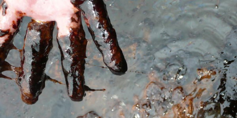 Nigerian Navy Uncovers 75,000 Litres of Suspected Stolen Crude Oil in Delta State